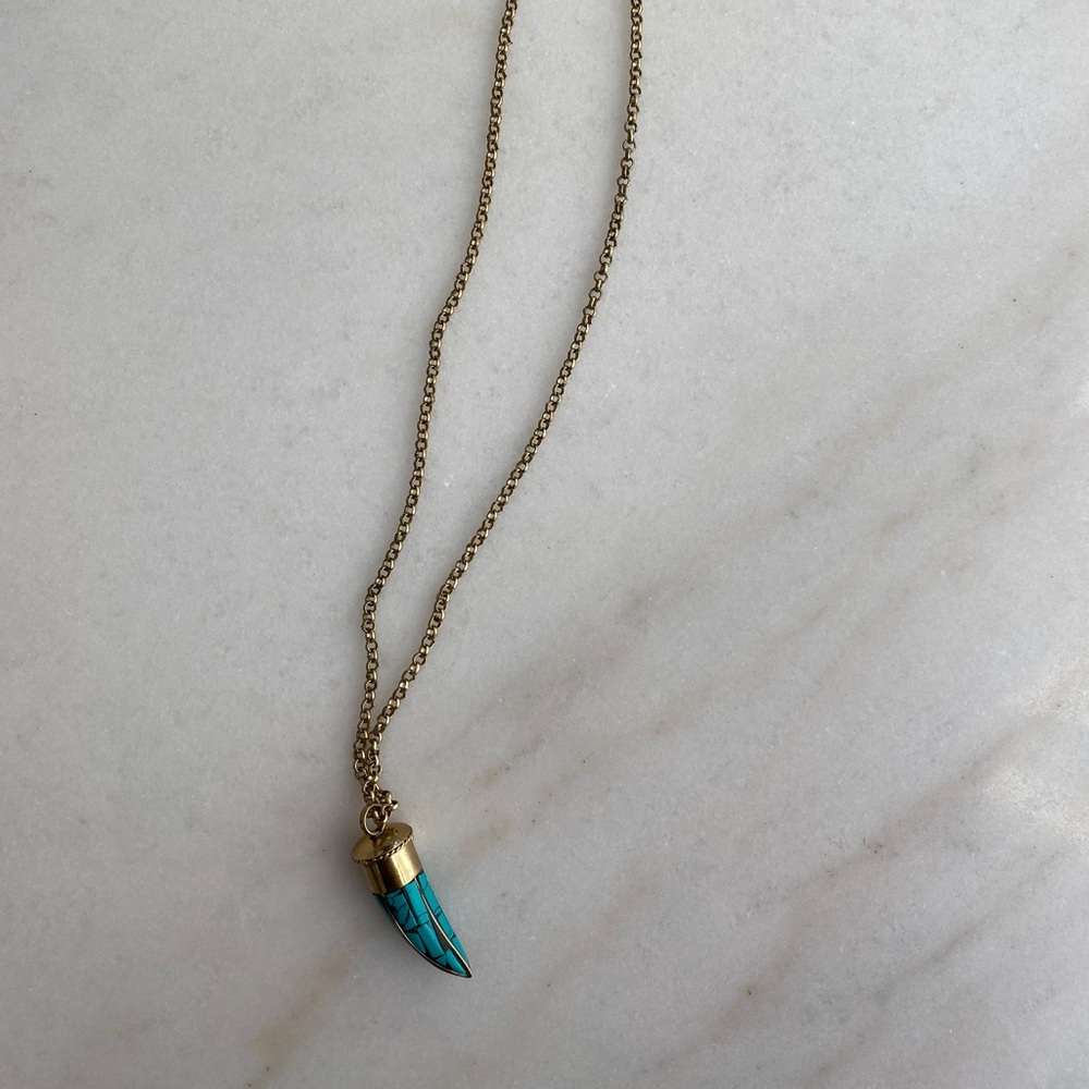 Turquoise horn necklace